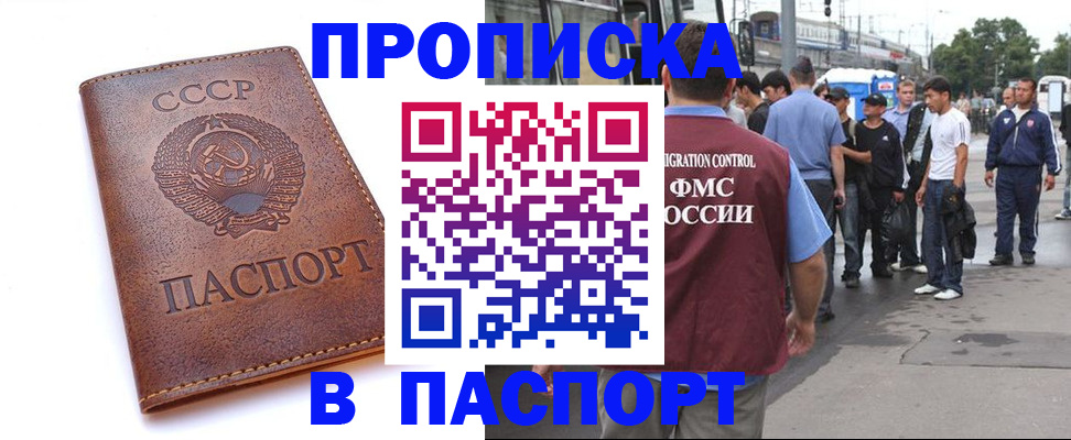 временная регистрация поиск в Петропавловске-Камчатском
